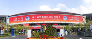 新（xīn）時代 共享未來 | Maple Armor驚豔亮相進博會