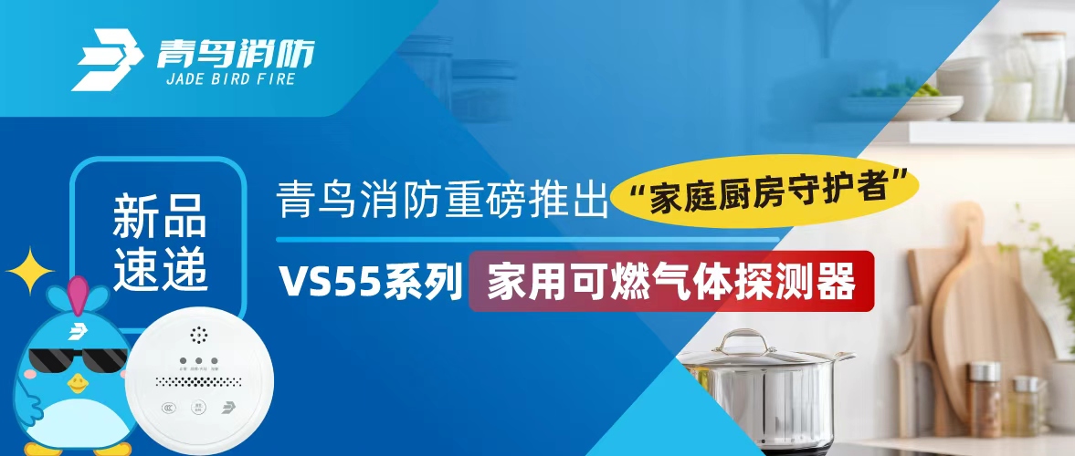 新（xīn）品速遞 | 娇BBB搡BBBB揉BBBB消防重磅推出“家庭（tíng）廚房守護者”——VS55係列家用可燃氣體探測器